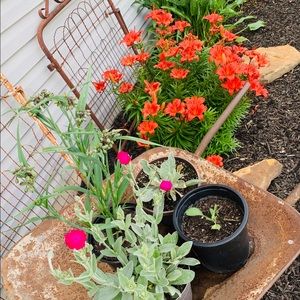 Meet your Posher, Lavonna